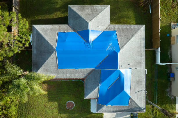 Best Roof Insulation Installation  in Las Animas, CO